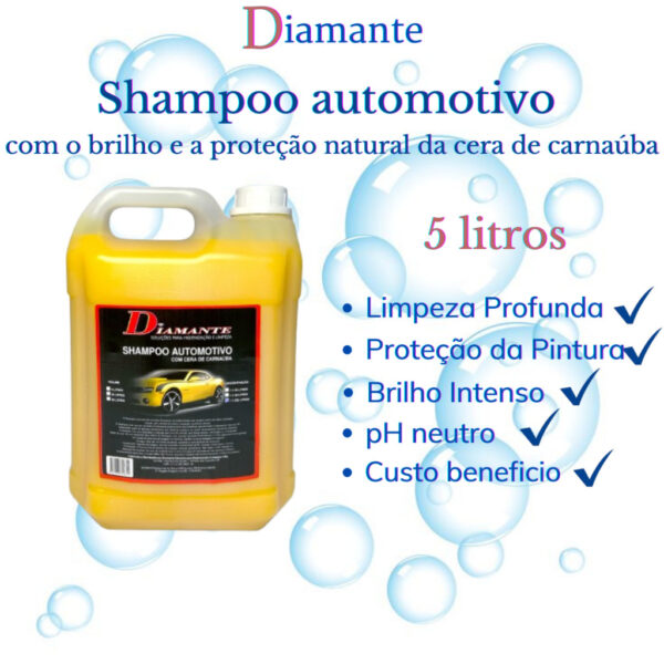 Shampoo com Cera de Carnaúba pH Neutro - Para Todas as Cores de Veículos (5L)